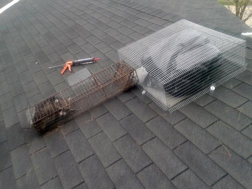 Animal Proofing Of Roof Vents, Wildlife Barrier Installation Services For Sheds, Porches And Decks In Ohio