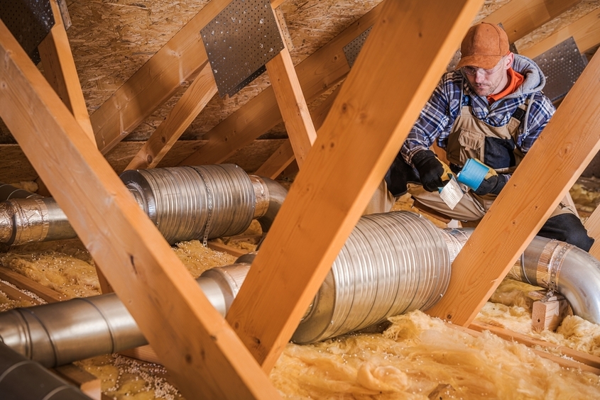 Request Attic Cleanup And Decontamination Services To Remediate Health Hazards Caused By Bats In Your House