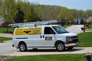 Bat Removal, Bat Exclusion And Bat Guano Cleanup Services In Ohio