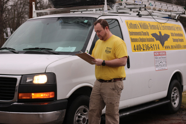 The Cottom's Wildlife Removal Company Provides Bat Removal, Bat Exclusion, Bat Guano Cleanup And Decontamination Services To Families That Live In And Near Cincinnati Ohio And Other Southern Ohio Cities