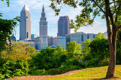 PICTURE OF CLEVELAND SKYLINE - Clueless Cleveland Councilman Admits At Public Hearing To Improperly Releasing Dozens Of Nuisance Animals | Published By Cleveland.com On February 18, 2021 | During a Wednesday hearing on nuisance animals, City Councilman Joe Jones abruptly admitted to improperly releasing raccoons that he said he had trapped. The admission, made after Animal Control Officer John Baird reported that state law requires trapped animals to be euthanized by someone with a special license, drew chuckles from Jones’ colleagues. In previous years, the City Of Cleveland has spent $75,000 to $80,000 to hire contractors to trap and dispose of nuisance wild animals, skunks, opossums and groundhogs. Health concerns related to the coronavirus pandemic hindered the city from establishing contracts with nuisance wildlife control operators in 2020. That allowed the population of nuisance animals to grow. Members of the City Council said they’re getting more complaints from residents about the animals. The animals can spread disease and also damage property.