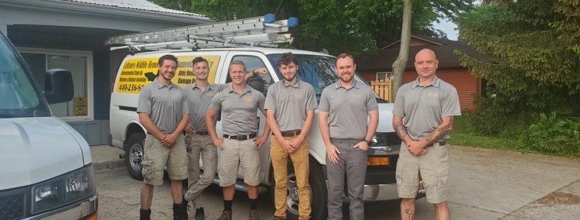 Cottom's Wildlife Removal & Environmental Service - A Local Wildlife Control, Pest Control, Wild Animal Removal, Bird And Bat Removal Company Serving Homeowners And Businesses In Cleveland, Cincinnati, Toledo And Columbus Ohio Since 1986