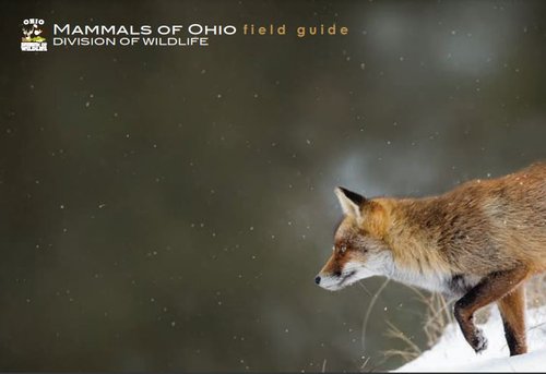 Download the "Mammals Of Ohio Field Guide" from the Ohio Department Of Wildlife, here. This booklet is produced by the ODNR Division of Wildlife as a free publication.
