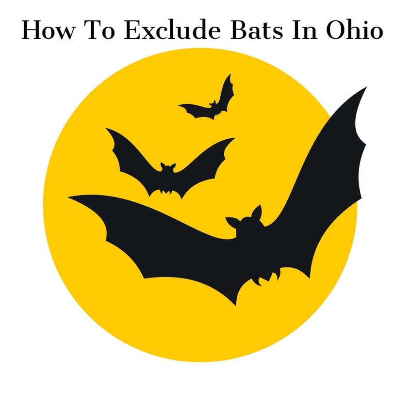 NOVEMBER 2 2021 - To apply for exclusion authorization in Ohio please complete and return a Bat Exclusion Authorization Application