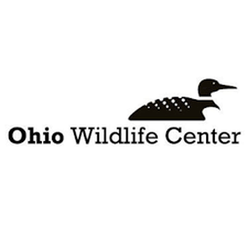 The Ohio Wildlife Center, is located in Powell, Ohio (614-734-9453) and was founded in 1984. It offers humane pest control and animal rehabilitation services while fostering awareness and appreciation for Ohio's native wildlife through rehabilitation, education and wildlife health studies. They are a 501c3 nonprofit that operates the state's largest, donation-supported Wildlife Hospital with on-site veterinary care. They serve the local community and state in wildlife rescues and rehabilitation. The Center receives no operational funds from any local, state, or federal government tax funding. The Ohio Wildlife Center is a premier nonprofit wildlife rehabilitation organization, nationally recognized as an authority on native Ohio wildlife issues. The Ohio Wildlife Center was founded in 1984 by Animal Care Unlimited veterinarian, Dr. Donald L. Burton. The Ohio Wildlife Center's Hospital (614-793-9453) is located at 2661 Billingsley Rd, Columbus, OH 43235. Ohio Wildlife Center partners with hundreds of volunteers across all areas of the organization to make their mission possible. Volunteers can normally choose to work in wildlife care, education, InfoLine services, transport, produce pickup, special events, community outreach, and office support.