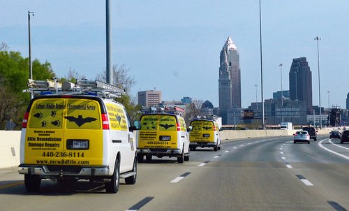JULY 28, 2021 - PICTURED HERE ARE 3 CWR GROUNDHOG CONTROL VANS APPROACHING DOWNTOWN CLEVELAND OHIO - The City Of Cleveland Animal Control Services and the Cottom's Wildlife Removal company both manage human-animal conflicts in the Northeast Ohio community. Pictured here are 3 of CRW's groundhog control trucks on the highway heading to a large groundhog trapping, removal and exclusion project for a concerned commercial client.