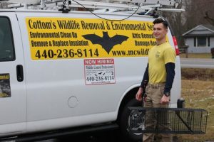 PICTURED HERE IS ALEX, A WILDLIFE TRAPPER AT COTTOMS WILDLIFE REMOVAL COMPANY - Alex believes that trapping nuisance wild animals can be an effective method of reducing the spread of harmful diseases while also managing and controlling damage caused by the wildlife in Ohio.