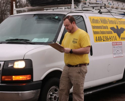 PICTURED HERE IS PROFESSIONAL BAT CONTROL TECHNICIAN, MIKE COTTOM, JR. ON A SERVICE CALL TO A CUSTOMER'S HOUSE IN OHIO - The Cottom's Wildlife Removal Company Provides Bat Removal, Bat Exclusion, Bat Guano Cleanup And Decontamination Services To Families That Live In And Near Columbus, Cleveland, Cincinnati And Other Ohio Cities. Mike Jr. is a very knowledgeable and professional bird control technician.