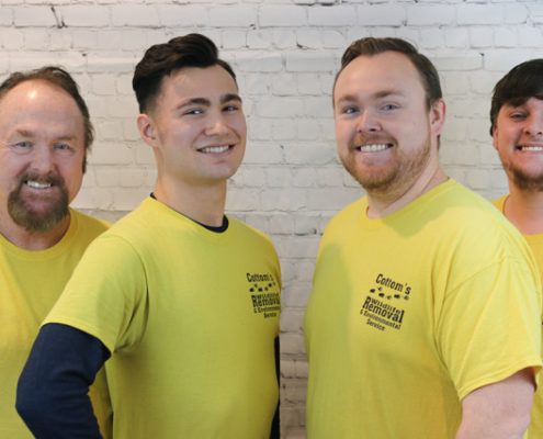 Pictured Here Are 4 Of The Best Bird Removal And Exclusion Experts That Work At Cottom's Wildlife Removal Company In Ohio