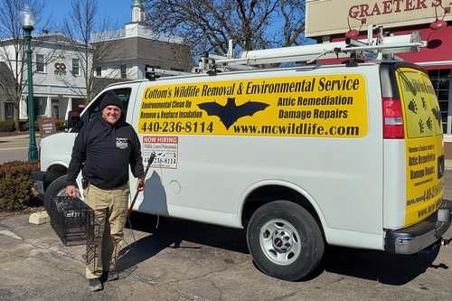 Professional Snake Catcher In Worthington, Ohio - Pictured here is Mike Cottom Sr., the founder of the Cottom's Wildlife Removal company. He and his son, Mike Cottom Jr. are two of the most experienced snake catchers and snake control professionals that work around Columbus, Ohio. They both have an outstanding working knowledge of snake control services, snake control products, snake repellents, snake glue traps, snake control treatments, snake exclusion fencing, snake exclusion funnels and snake control methods.