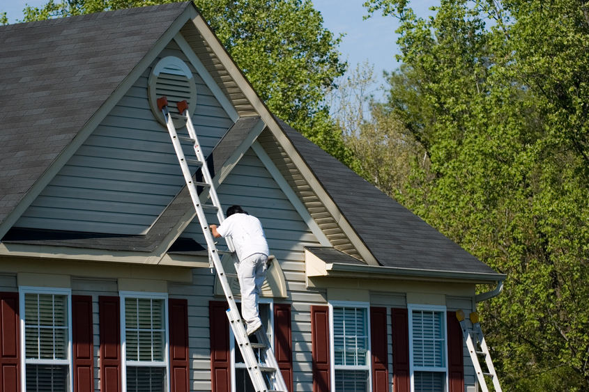 NOVEMBER 2 2021 - Property owners in Ohio, or their designee, should perform a bat watch at dawn or dusk to identify the holes the bats use for entering the attic.