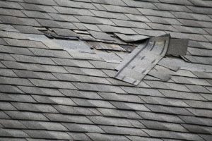 NOVEMBER 2, 2021 - Seal Damaged Asphalt Roof Shingles With A Silicone Sealant To Keep Bats Out Of Your House, Roof, Attic, Vents And Walls