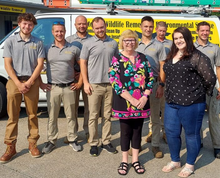 To Request Wildlife Removal Or Bat Removal Services In