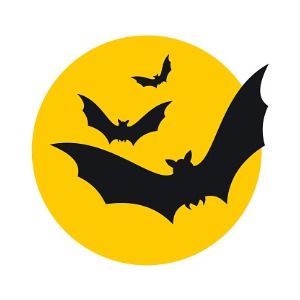 To schedule an inspection and bat exclusion services contact the Cottom's Wildlife Removal company