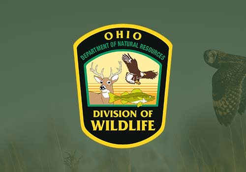 Visit The Website For The Ohio Department Of Natural Resources - Department Of Wildlife. The government agency in Ohio, ensures a balance between wise use and protection of our natural resources for the benefit of all. The Department of Natural Resources (ODNR) owns and manages more than 590,000 acres of land including 74 state parks, 21 state forests, 136 state nature preserves, and 117 wildlife areas. The department also has jurisdiction over more than 120,000 acres of inland waters; 7,000 miles of streams; 481 miles of Ohio River; and 2-1/4 million acres of Lake Erie.
