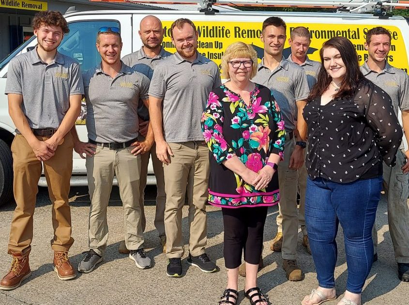 June 10, 2021 - CWR Humanely Removes Raccoons, Squirrels, Bats, Birds, Skunks & Mice In Ohio | Rates From $399+ | Exclusion & Trapping Services | Cleveland 440-236-8114 | Columbus 614-300-2763 | Cincinnati 513-808-9530 | Groundhogs, Snakes | Wild Animal & Pest Control Services For Ohio Homeowners & Businesses | Dayton, Toledo, Akron, Canton, Youngstown, Dayton, Portsmouth, Marietta, Ashtabula | Cottom's Wildlife Removal Company