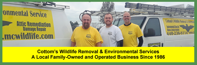 Contact Cottom's Wildlife Removal, A Family Owned and Operated Business in Cleveland, Ohio