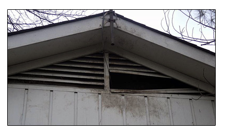How Raccoons Get Into Houses - Damaged Eve Vent