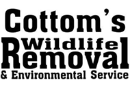 Cottom's Wildlife Removal