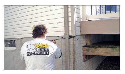 Mike Cottom Repairing Damage Caused by Wildlife