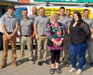 Groundhog Trapping & Removal Services | Cleveland, Akron, Canton