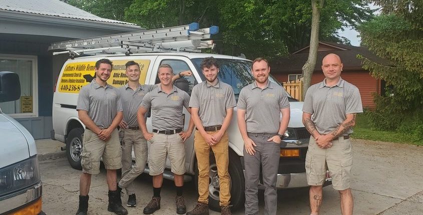Pictured Here Are 6 Professional Pigeon Control Experts That Work In Ohio Installing Pigeon Netting And Bird Spikes