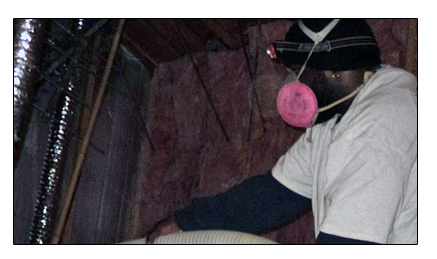 Replacing Insulation in An Attic in Cleveland That Was Damaged by Raccoons