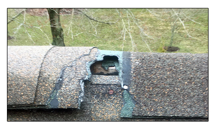 ridge-shingles-repair Shingles On The Roof Ridge Damaged By Raccoons